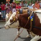 750 Jahre Diersburg