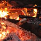 maifeuer2006_09