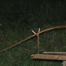maifeuer2006_11