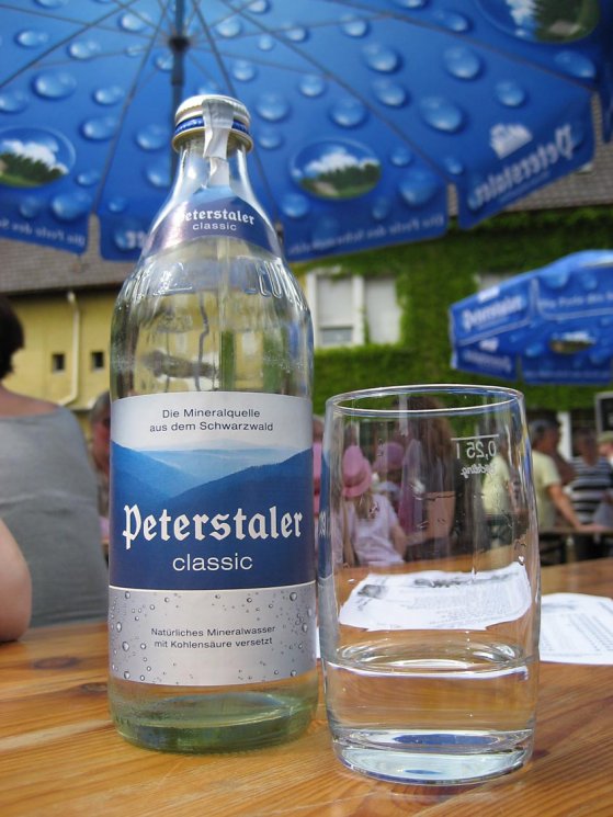 Rathausplatzkonzert 2008 - 08