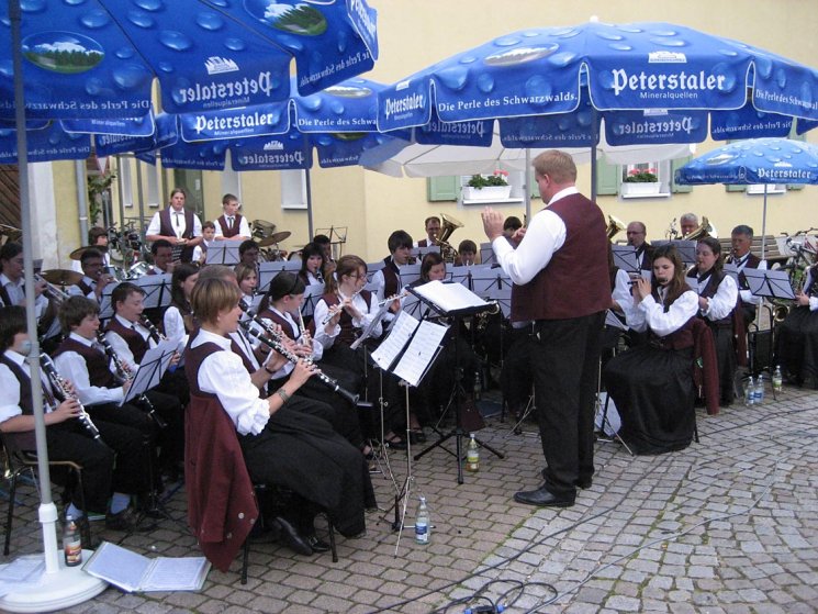 Rathausplatzkonzert 2008 - 14