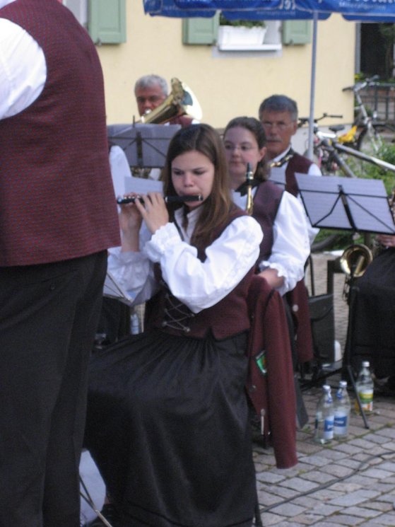 Rathausplatzkonzert 2008 - 15