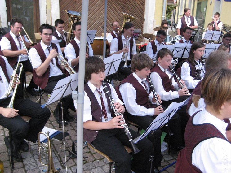 Rathausplatzkonzert 2008 - 23