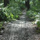 MTB-Rennen 2007 - 27